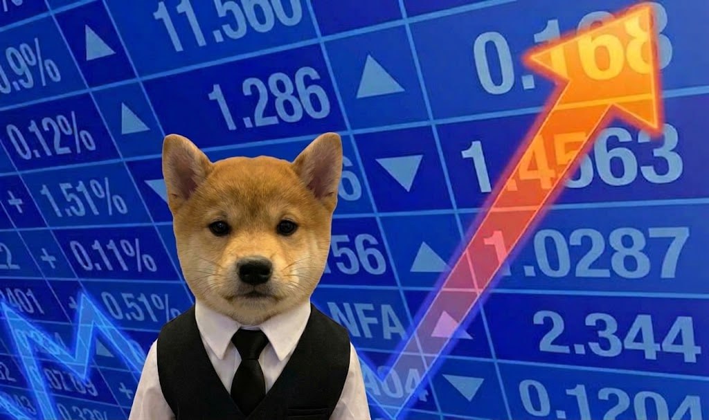 The dog in a vest in front of a stock board